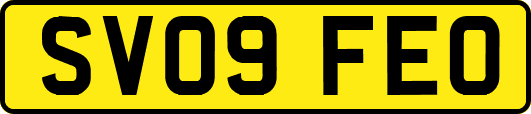 SV09FEO