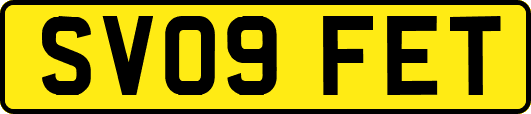 SV09FET
