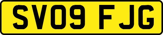 SV09FJG