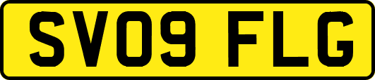 SV09FLG