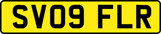 SV09FLR