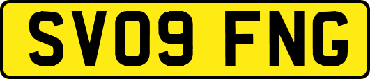 SV09FNG