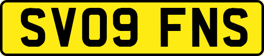 SV09FNS