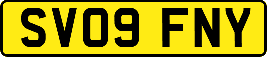 SV09FNY