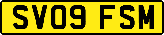 SV09FSM