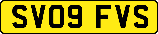 SV09FVS