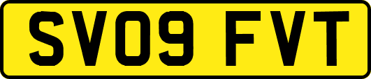 SV09FVT