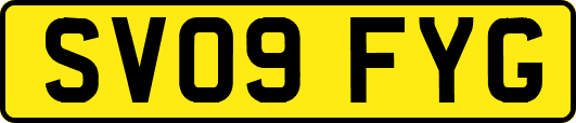 SV09FYG
