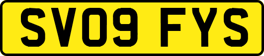 SV09FYS