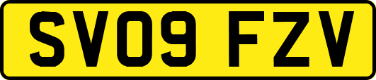 SV09FZV