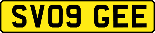 SV09GEE