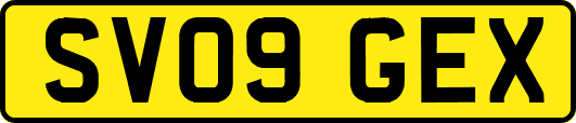 SV09GEX