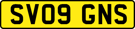 SV09GNS