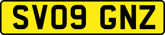 SV09GNZ