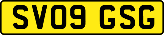 SV09GSG