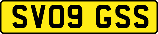 SV09GSS