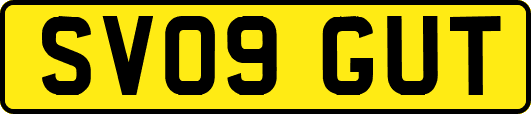 SV09GUT