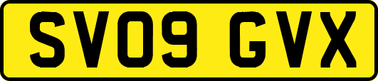 SV09GVX