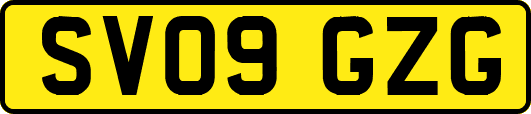 SV09GZG