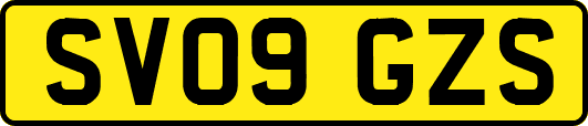 SV09GZS