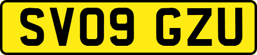 SV09GZU