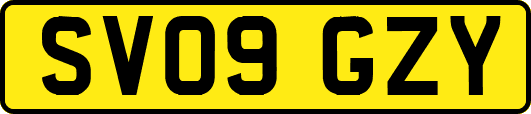 SV09GZY