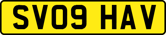 SV09HAV