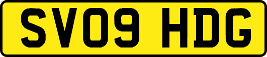 SV09HDG