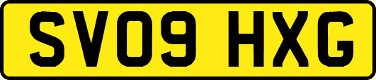SV09HXG