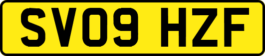 SV09HZF