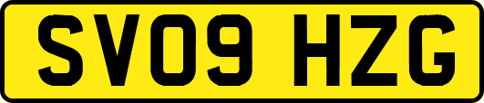 SV09HZG