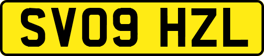 SV09HZL