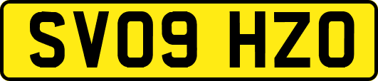 SV09HZO