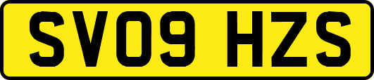 SV09HZS