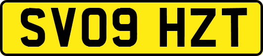 SV09HZT