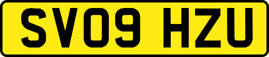 SV09HZU