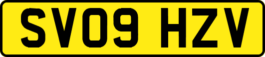 SV09HZV