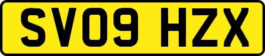 SV09HZX