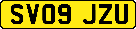 SV09JZU