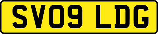 SV09LDG