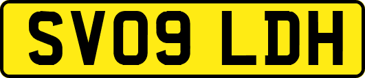 SV09LDH
