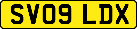 SV09LDX