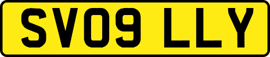 SV09LLY