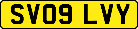 SV09LVY