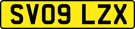 SV09LZX