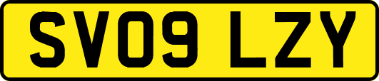 SV09LZY