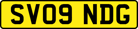SV09NDG