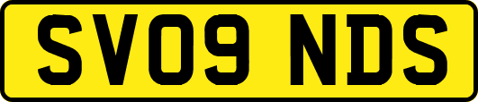 SV09NDS