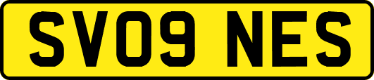 SV09NES