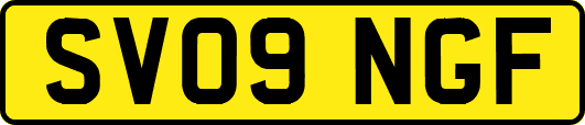 SV09NGF